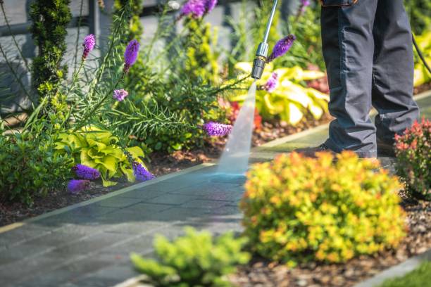 Best Driveway Pressure Washing  in Tano Road, NM