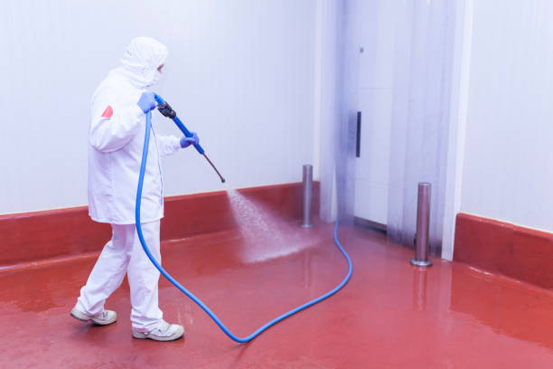 Best Warehouse Cleaning  in Tano Road, NM